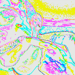 NuancerNuancerNuancer