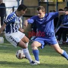 Lucian Stefan Vesela