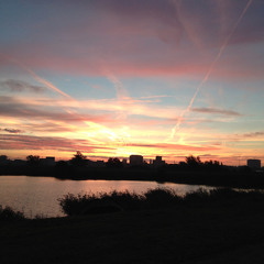 Arno_DC