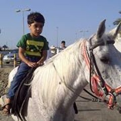 ام حيدر