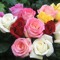 user241006807