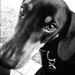 Adele Buckle Krüger