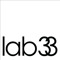lab33