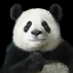 قراءات و تواشيح