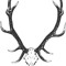 Juergen_Music