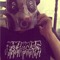 stonezomb