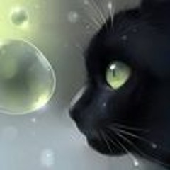 Mohamed Moustafa Hedaya