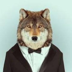 Derek Bagheera Pulley