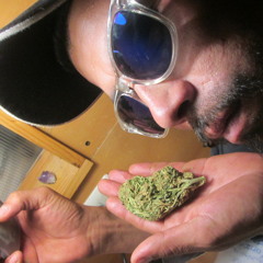 Fumon King SolistaCalleja