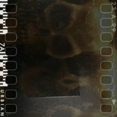 the film