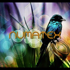 Numatex