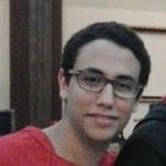 Ayman L Sharnobi