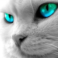 Trance is Life! <3