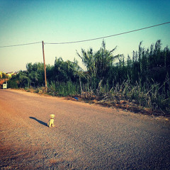 Mazhar Volkan Topaloğlu