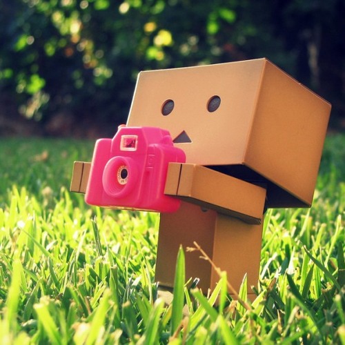 طول ما الشمس فيها نور