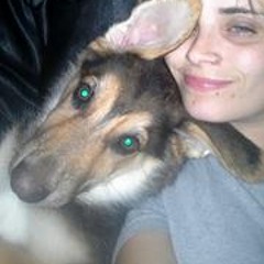 Sarah Someday Lustig