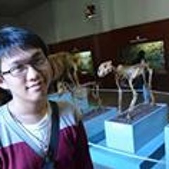 Gerry Gabriel Wijaya