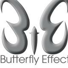 Butterfly  Effect