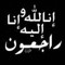 Mahmoud Ali 130
