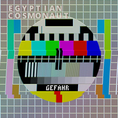 egyptian cosmonaut