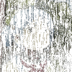 Animus