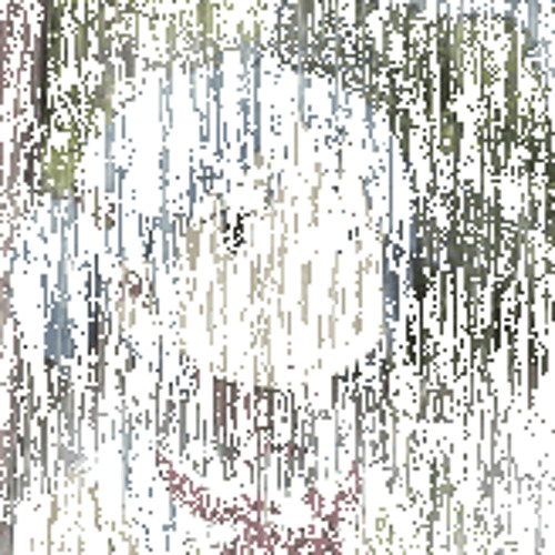 Animus