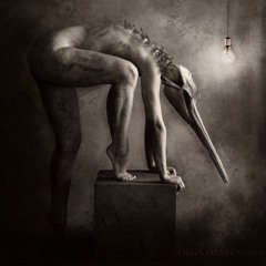 kareem torky