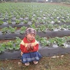 ေပ်ာက္ဆံုးသြားတဲ႔မနက္ခင္းေလးမ်ား  (အငဲ)