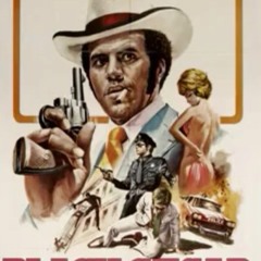 The Official Born Wize