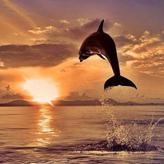 Nui Maggie Yoshimura