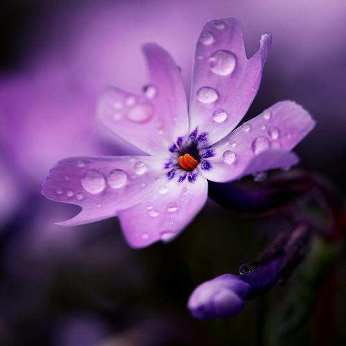 فينك يا حبيبي