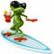 surferfrog