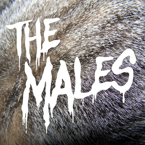 THE MALES’s avatar
