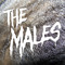 THE MALES