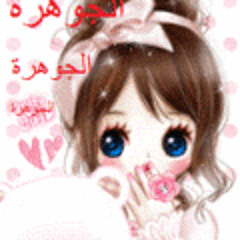 user241083053