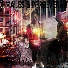 CherokeArtecallejero