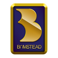 B∩MSTEAD