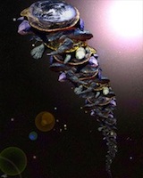 Eternal Turtle