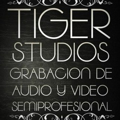 TigerStudiosProMX