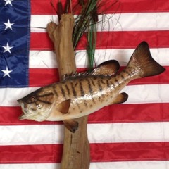 Tom-Tom-Da-Destroyer