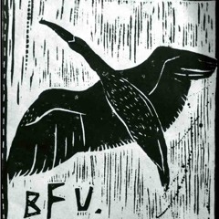 brisbanefreeuniversity