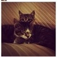 phil&&lilforever