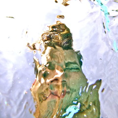 Harry Charles Newbould