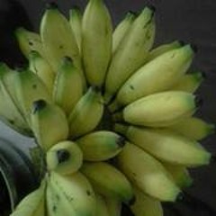 Angrybird Superholic