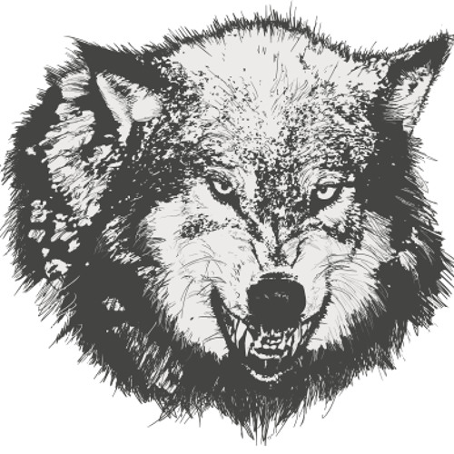 WolfByte’s avatar