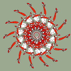 solaris007