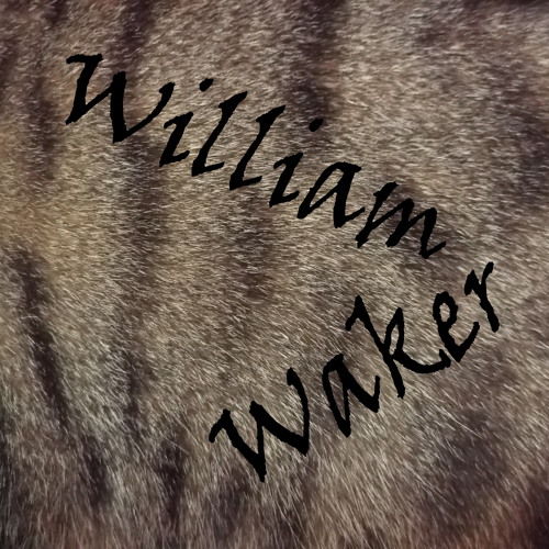 William Waker’s avatar