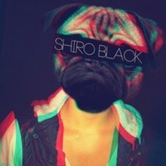 Spectral Disko Culture