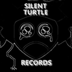 Silent Turtle Records