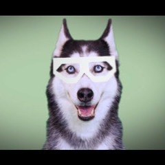 Tyler James McCorkindale